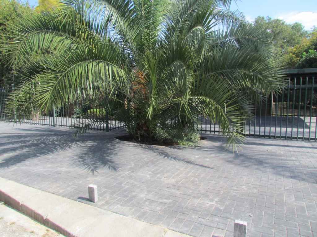 Wierdapark Residential Driveway Paving Using Grey Bevel Pavers