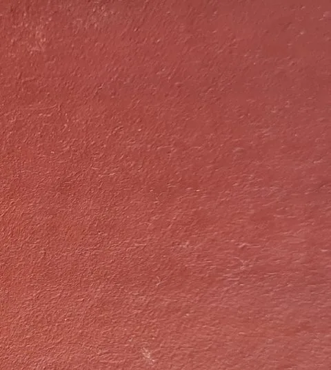 Paving Restoration Centurion & Pretoria — From R149/m² 7 Terracotta ColourSeal paving colour