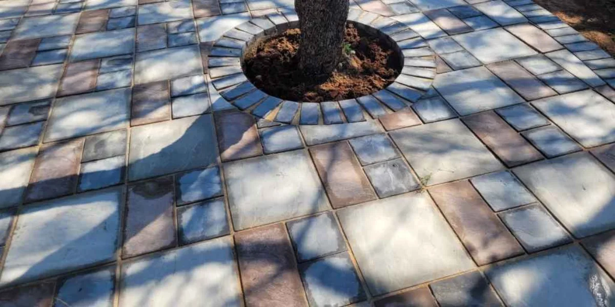Patio & Entertainment Area Paving | Pretoria Paving 8 Square-slab paving cut in around an existing tree at a property in Derdepoort, Pretoria