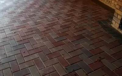 Paving Sealing: What It Costs and Whether It Is Worth It